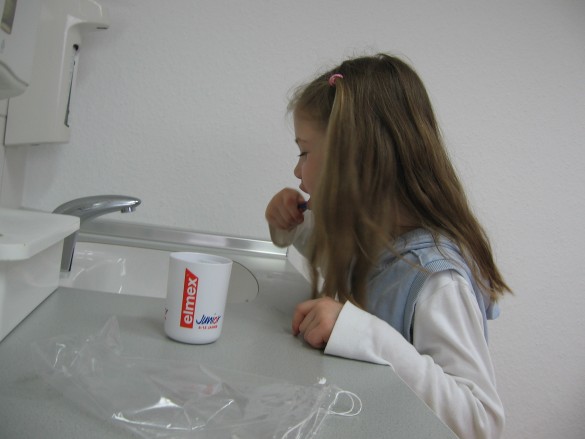 Bild 12
